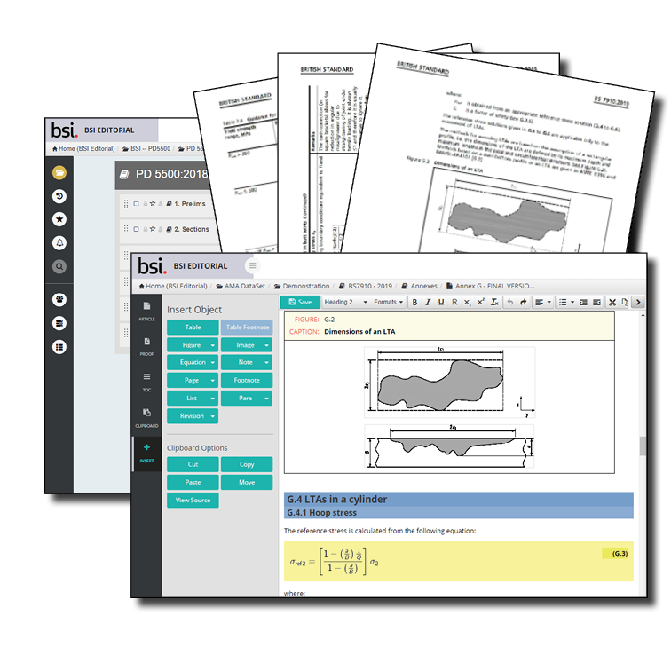 Case Study -- British Standards Institute -- BSI